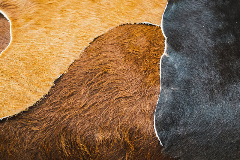 Kvalitné a jedinečné kože